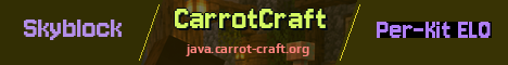 CarrotCraft Minecraft server banner