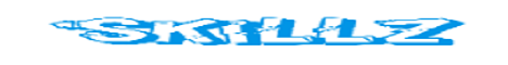 Skillz Minecraft server banner