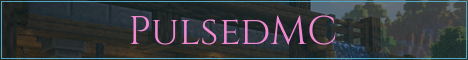PulsedMC Minecraft server banner
