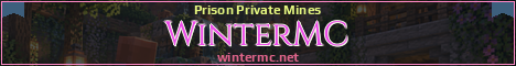 WinterMC Minecraft server banner