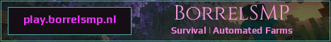 BorrelSMP Minecraft server banner
