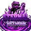 SilkCraft Network Minecraft server icon