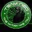 Team-NeO Minecraft server icon