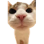 MeepCraft Minecraft server icon