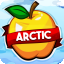 ArcticMC Minecraft server icon