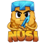 NUSI.PL Minecraft server icon