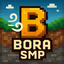Bora SMP Minecraft server icon